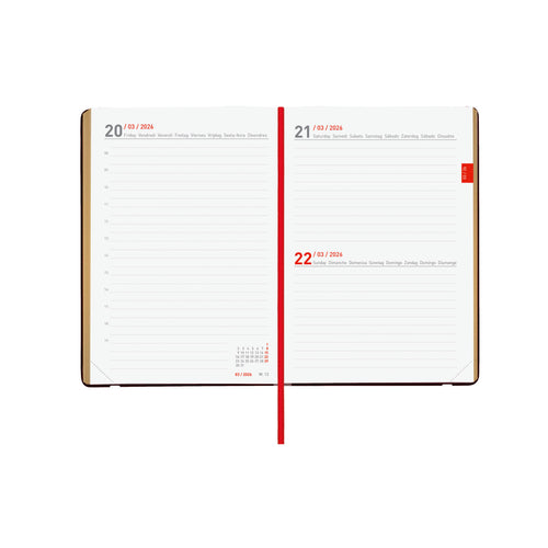 Agenda 2025/2026 Diária Finocam Mara 18 Meses Y4 120x170mm Daisy